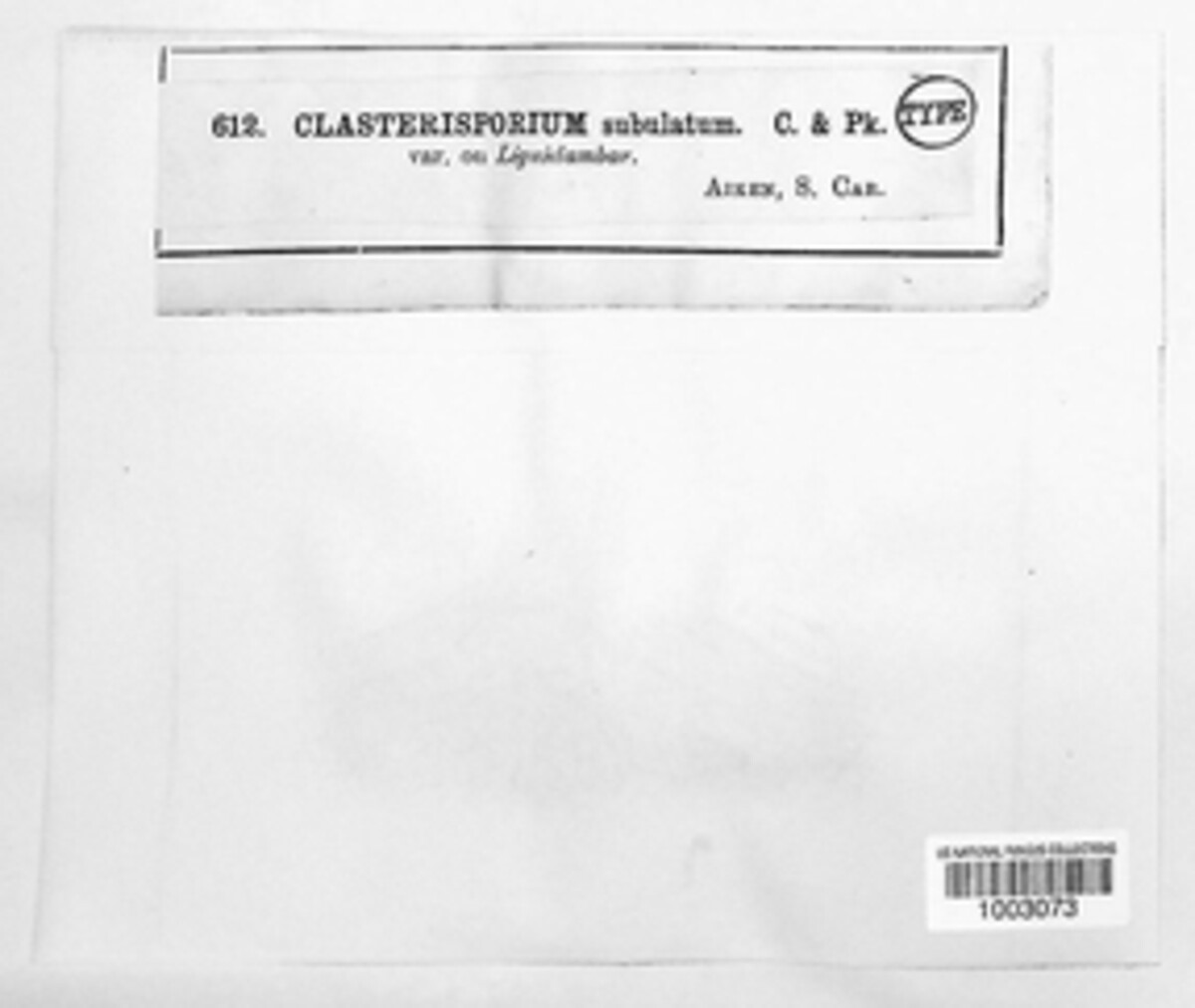 Clasterosporium image